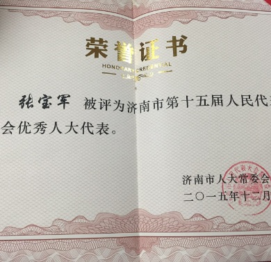 济南市人大代表张宝军主任参加济南市第十五届人民代表大会第五次会议(图3)